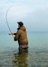 Gutschein für ein Meerforellen-Guiding an der Ostseeküste