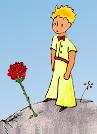 Der kleine Prinz - Benefiz 