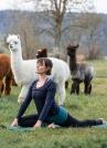 Yoga inmitten Alpakas-Hägendorf Region Olten 