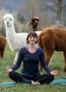 Yoga inmitten Alpakas-Giswil Region Luzern