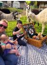 Picknick inmitten Alpakas Region Olten-Hägendorf (Muttertag)