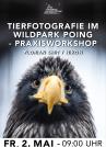 TIERFOTOGRAFIE IM WILDPARK POING
