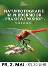 NATURFOTOGRAFIE IM NIEDERMOOR