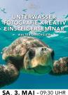 UNTERWASSERFOTOGRAFIE KREATIV