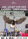 GREIFVOGELFOTOGRAFIE