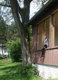 Pavillon Tribschenhorn