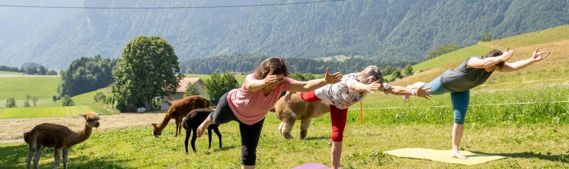 Lischen-Hof, Uebeschi bei Thun