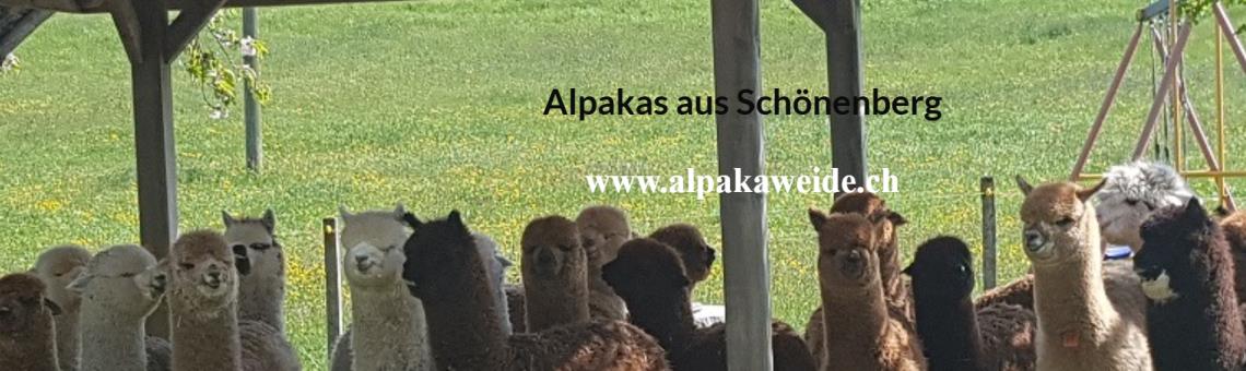 Alpakaweide.ch Gemeinde Wädeswil