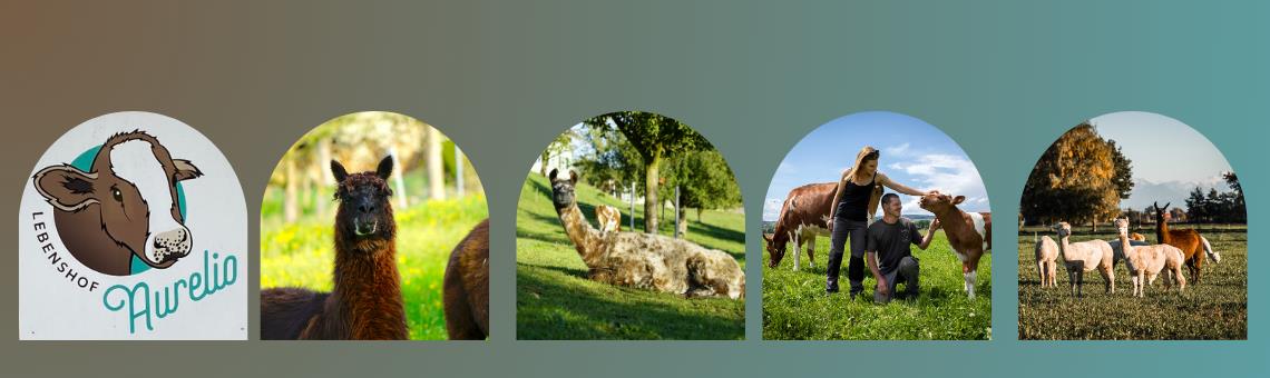 Lebenshof Aurelio, Büron, LU