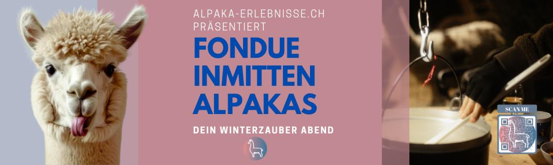 Alpakahof Funrange in Selzach bei Solothurn